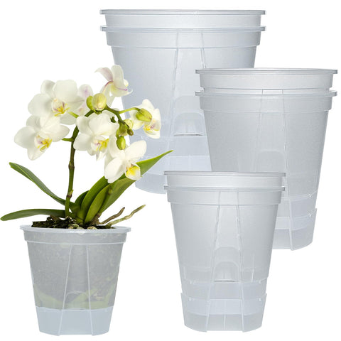 Cdd's Path six-pack bare-root planters with self-watering design for indoor or outdoor use.