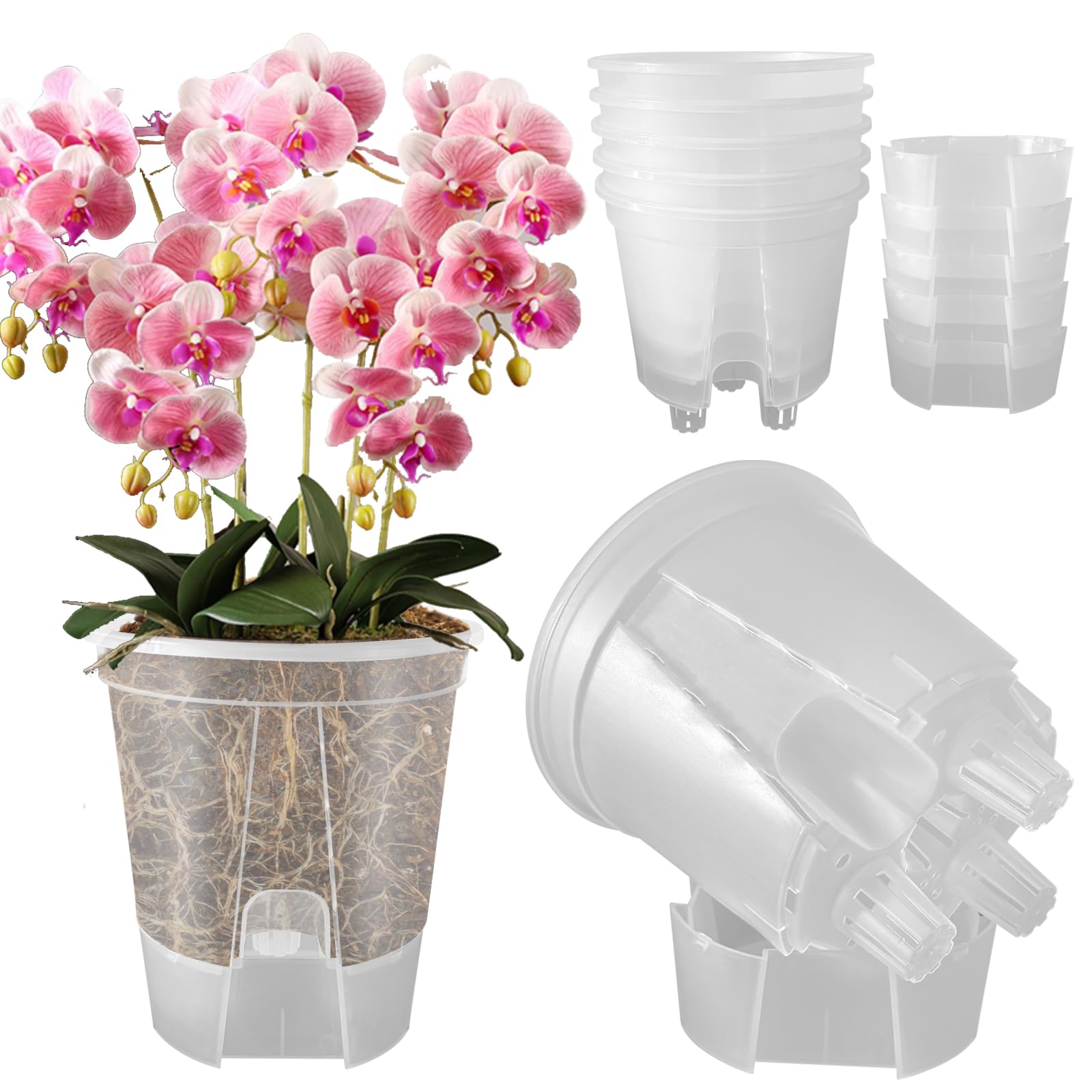 Cdd's Path 6-inch self-watering planter with water reservoir for indoor care