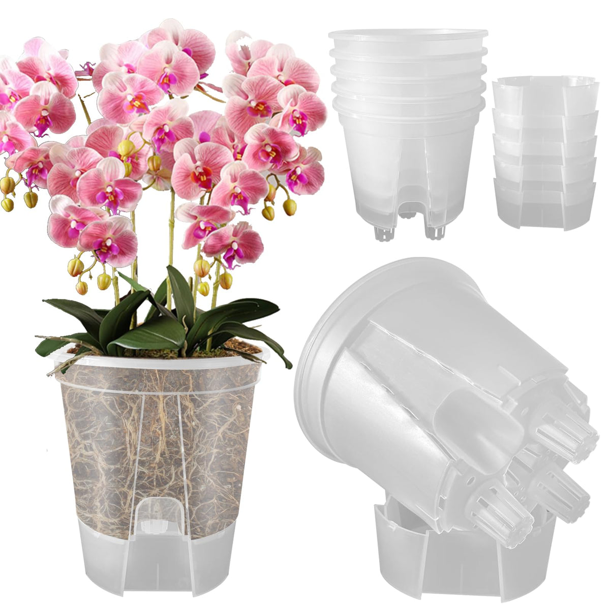 Cdd's Path 6-inch self-watering planter with water reservoir for indoor care