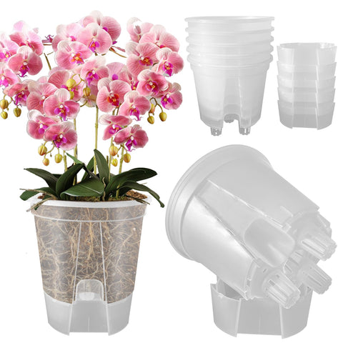 Cdd's Path 6-inch self-watering planter with water reservoir for indoor care