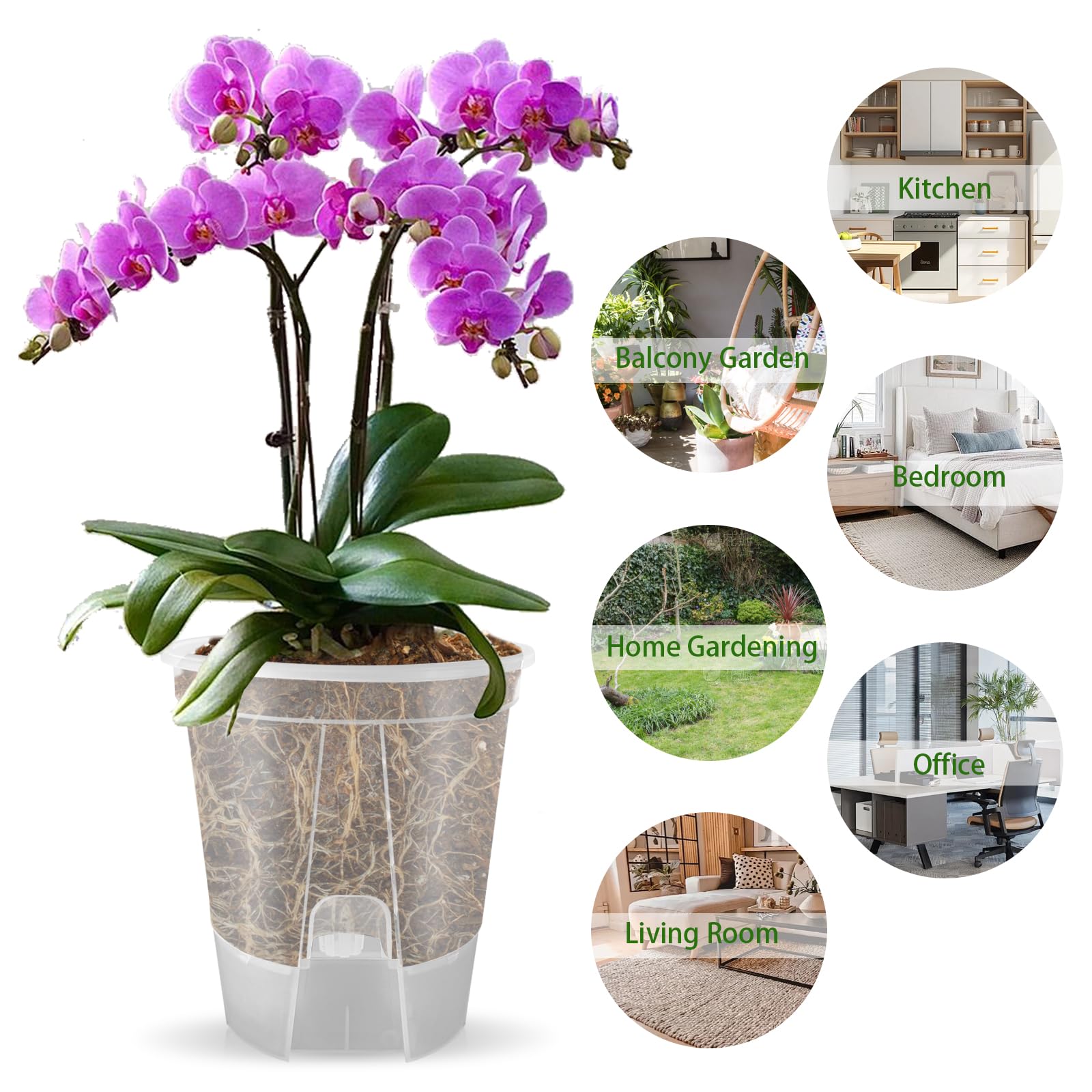 Cdd's Path durable 6-inch planter with drainage holes for healthy growth