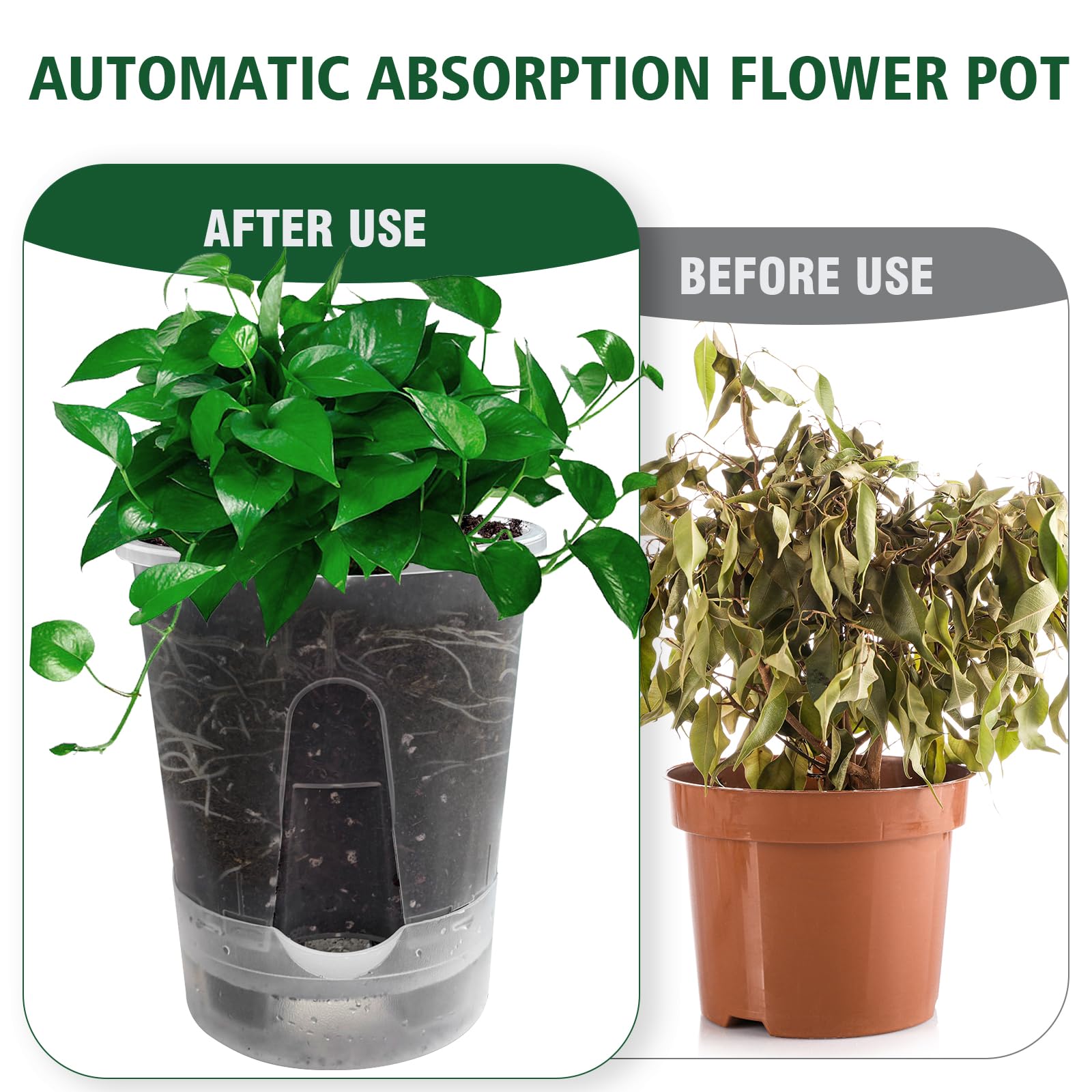 Cdd's Path eco-friendly, shockproof material keeps planters durable
