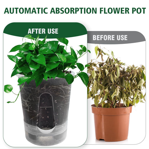 Cdd's Path eco-friendly, shockproof material keeps planters durable