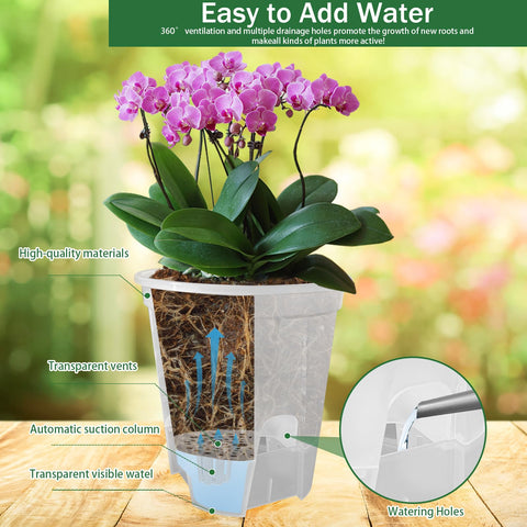 Cdd's Path environmentally friendly plastic planter provides clear visibility of roots