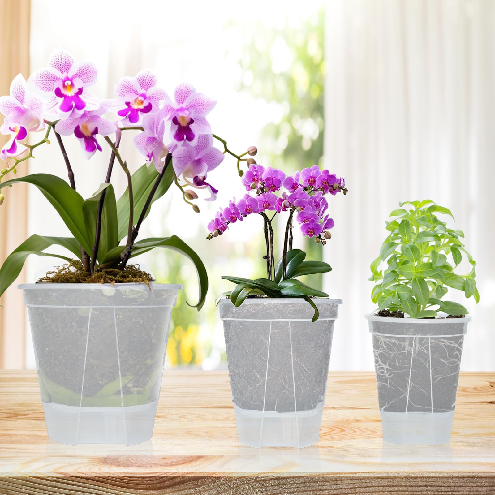 Cdd's Path indoor-outdoor planter set for versatile gardening.