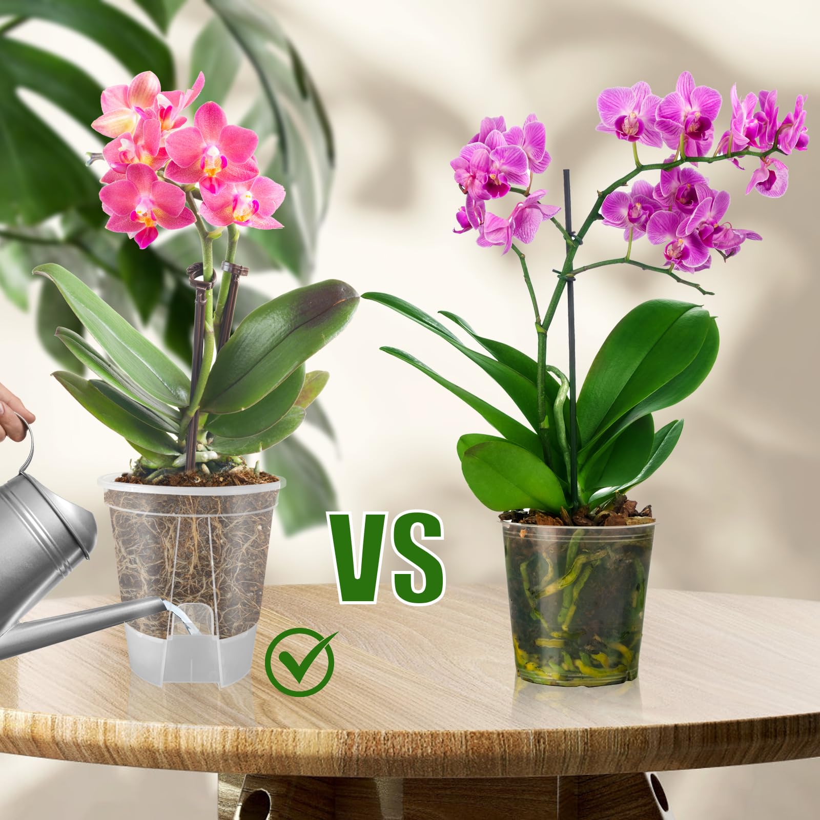 Cdd's Path removable bottom reservoir enables precise watering