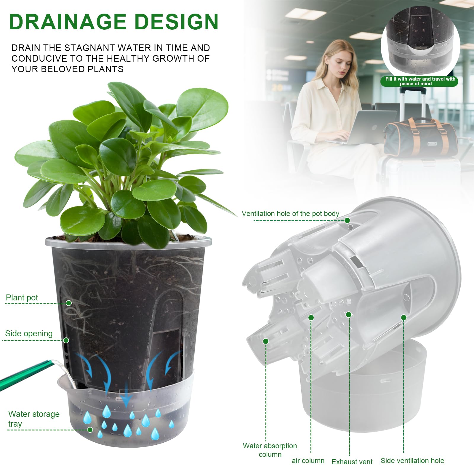 Cdd's Path self-watering hole reservoir for easy, low-maintenance plant care