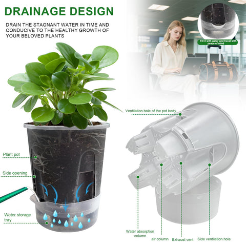 Cdd's Path self-watering hole reservoir for easy, low-maintenance plant care