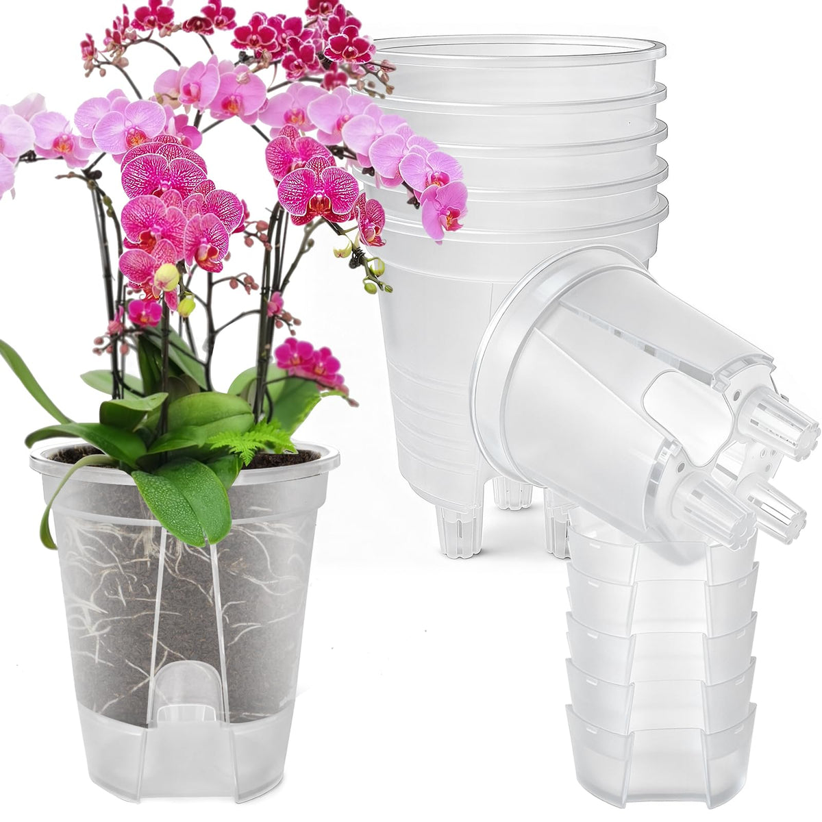 Cdd's Path large naked root planter with water reservoir enables seven-day hydration.