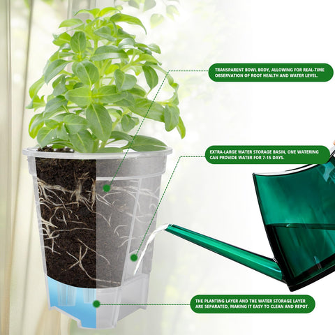 Cdd's Path planter side vents promote oxygen to roots for healthier growth.