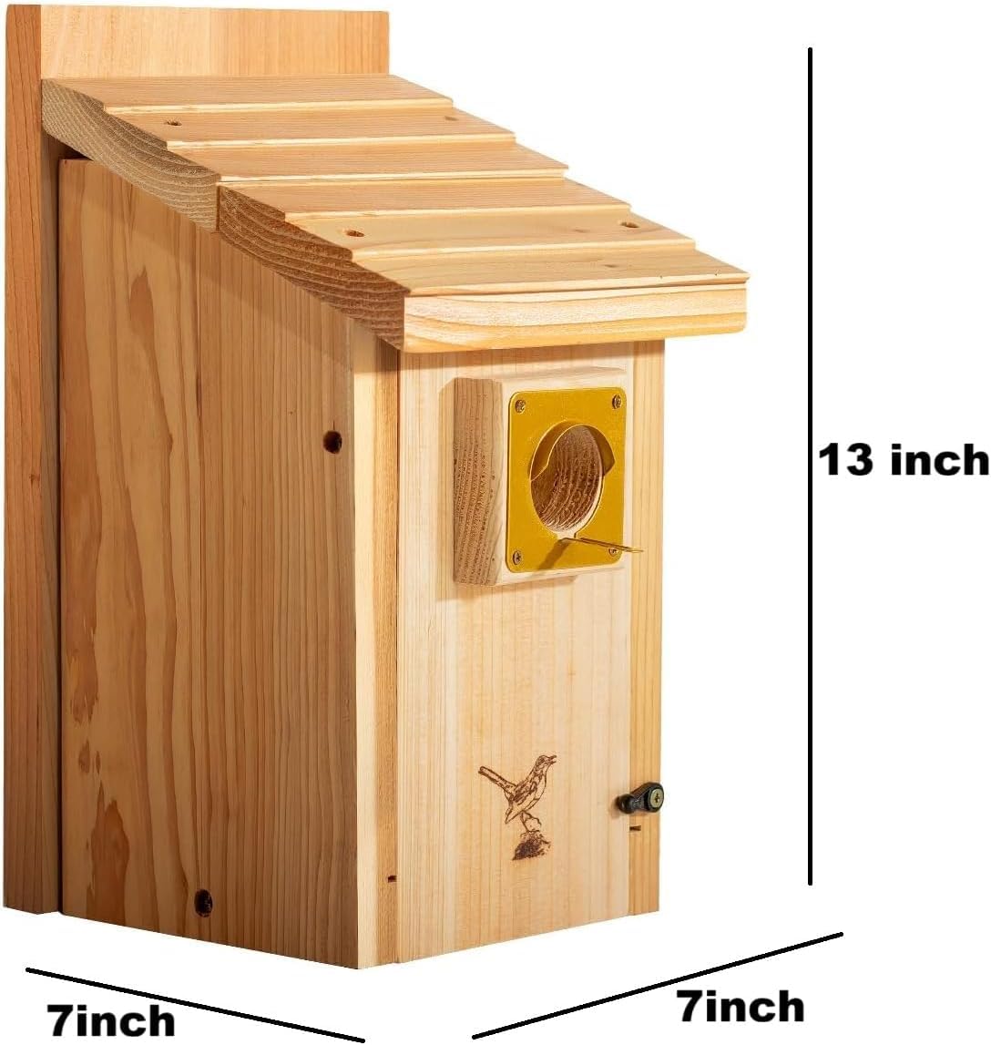 Interior view shows large bluebird room fitting bluebirds comfortably.