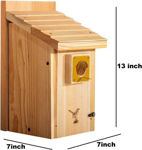 Interior view shows large bluebird room fitting bluebirds comfortably.