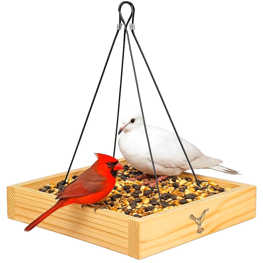 CEDAR ALPHA cedar-wood platform tray bird feeder 10inch demonstrates a sturdy outdoor feeder with a roomy feeding area.