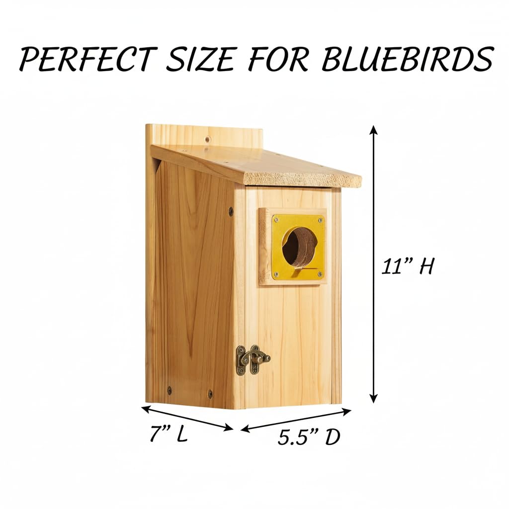 CEDAR ALPHA garden bird houses invite bluebirds and chickadees to visit.