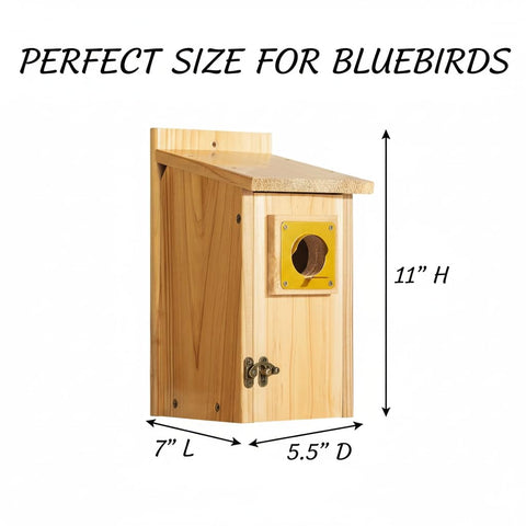 CEDAR ALPHA garden bird houses invite bluebirds and chickadees to visit.