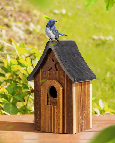 Cedar Alpha outdoor bird house in garden supports year round bird activity