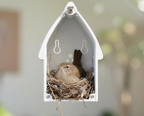 CEDAR ALPHA multi-entry design offers flexible viewing angles for observation.