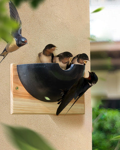 CEDAR ALPHA weather resistant swallow home designed for outdoor exposure.