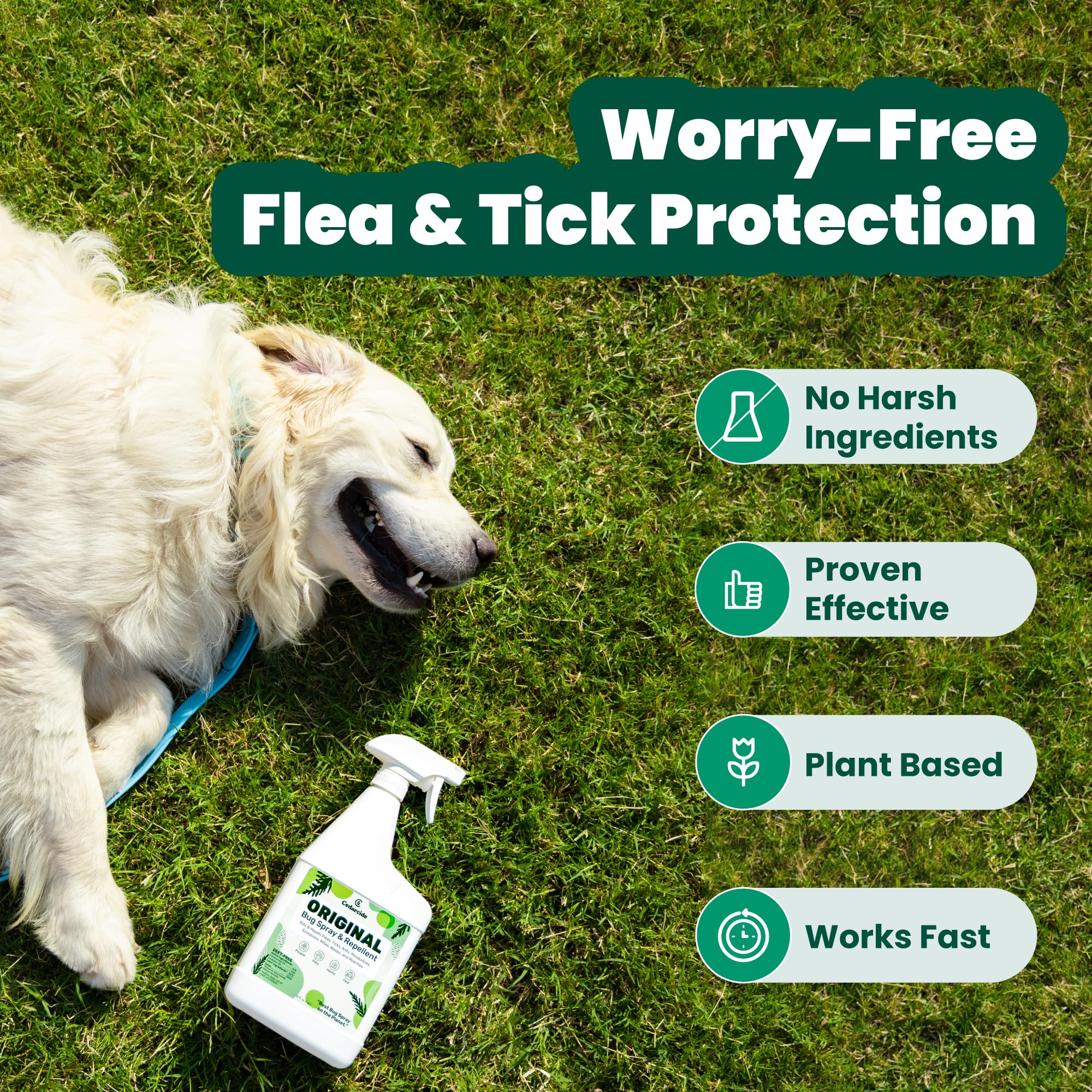 Cedarcide Original Bug Spray on pet fur demonstrates pet-safe bug control.