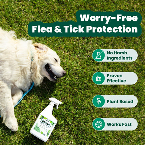 Cedarcide Original Bug Spray on pet fur demonstrates pet-safe bug control.