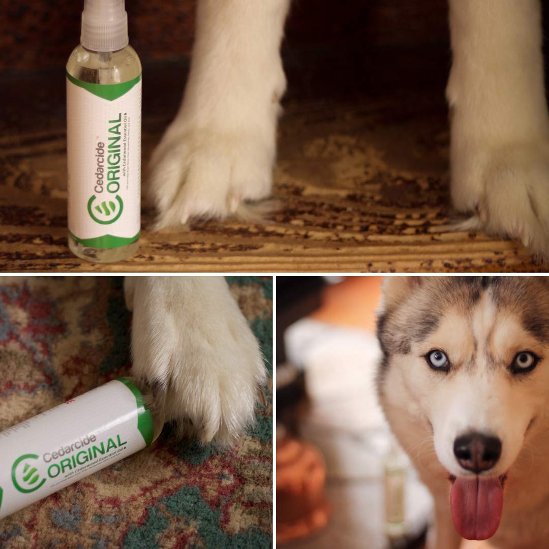 Cedarcide Original large size kit for extended protection and value.