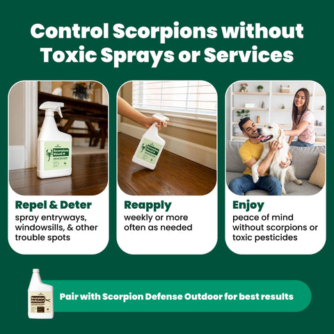 Indoor surfaces treated with Cedarcide Scorpion Shield to deter pests
