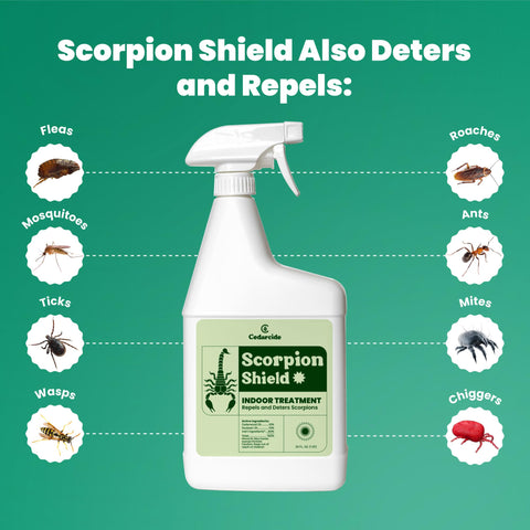 Cedarcide Scorpion Shield spray in action for fast room application