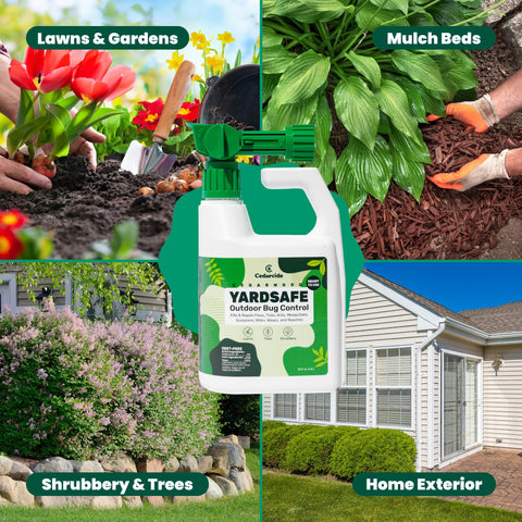 Cedarcide YardSafe spraying action demonstrates quick treatment across lawns.