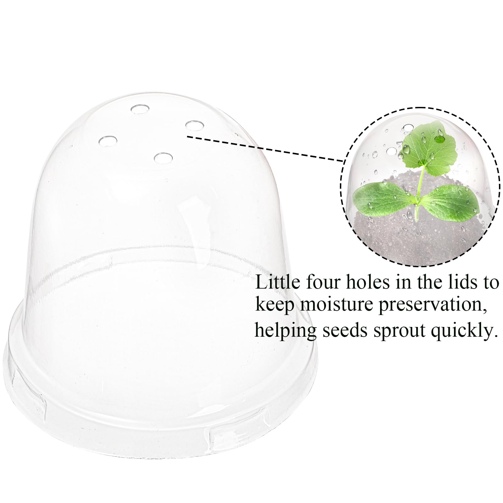 Cedilis biodegradable paper peat pots reduce waste