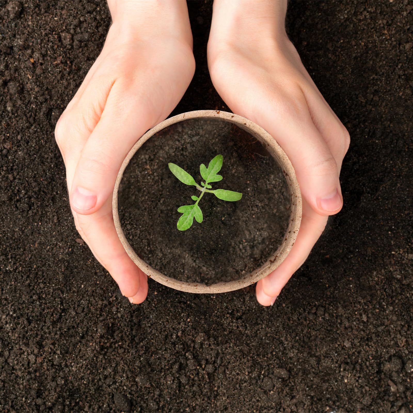Cedilis pots with drainage holes promote root health