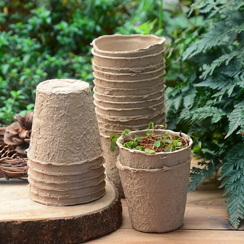 Cedilis disposable seedling pots close-up, showcasing transplant-friendly design.