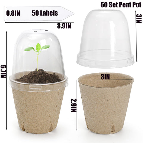 Cedilis dome lids with four airflow holes maintain moisture