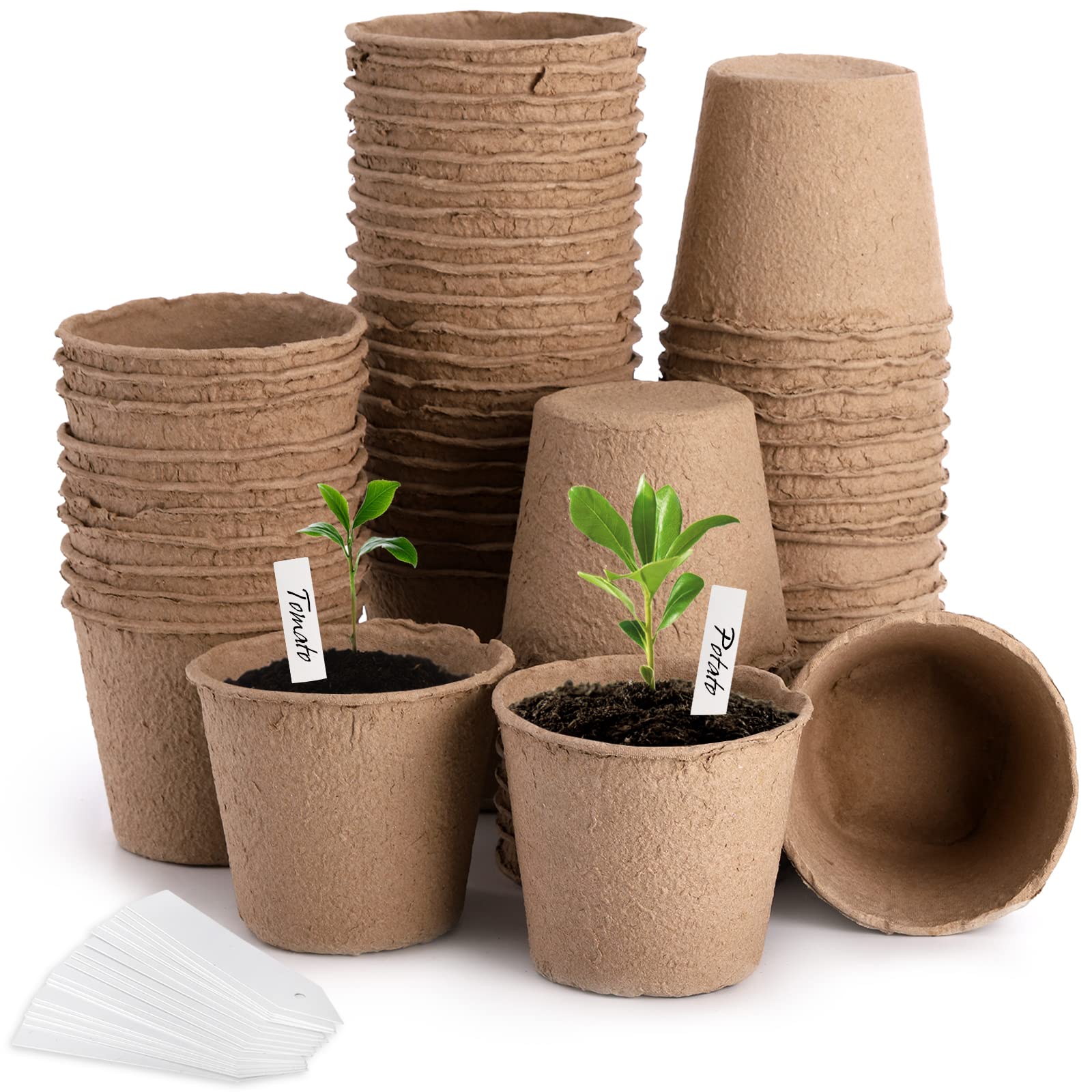 Cedilis 4-inch peat pots close-up, biodegradable starter pots for seedlings.