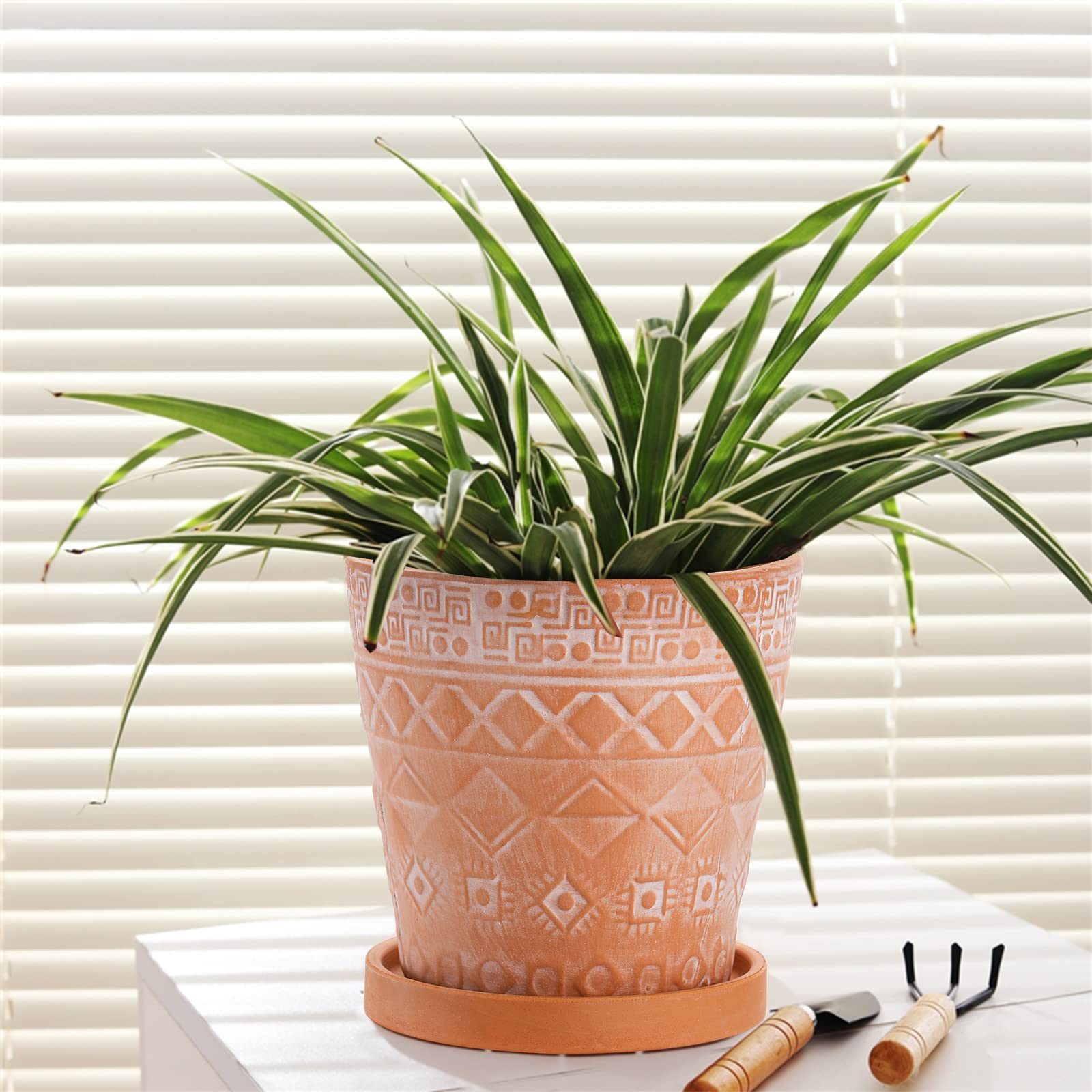Indoor scene with a Cedilis terracotta pot adding vintage-modern flair