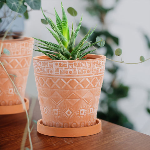 Close-up of the geometric design on a Cedilis 5-inch terracotta pot
