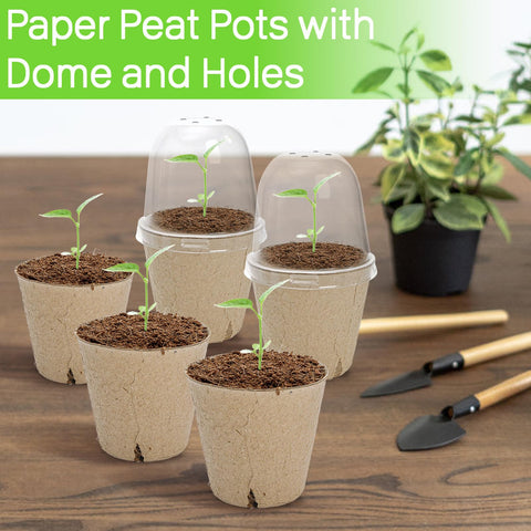Cedilis 3-inch seed starter pots fit small seeds