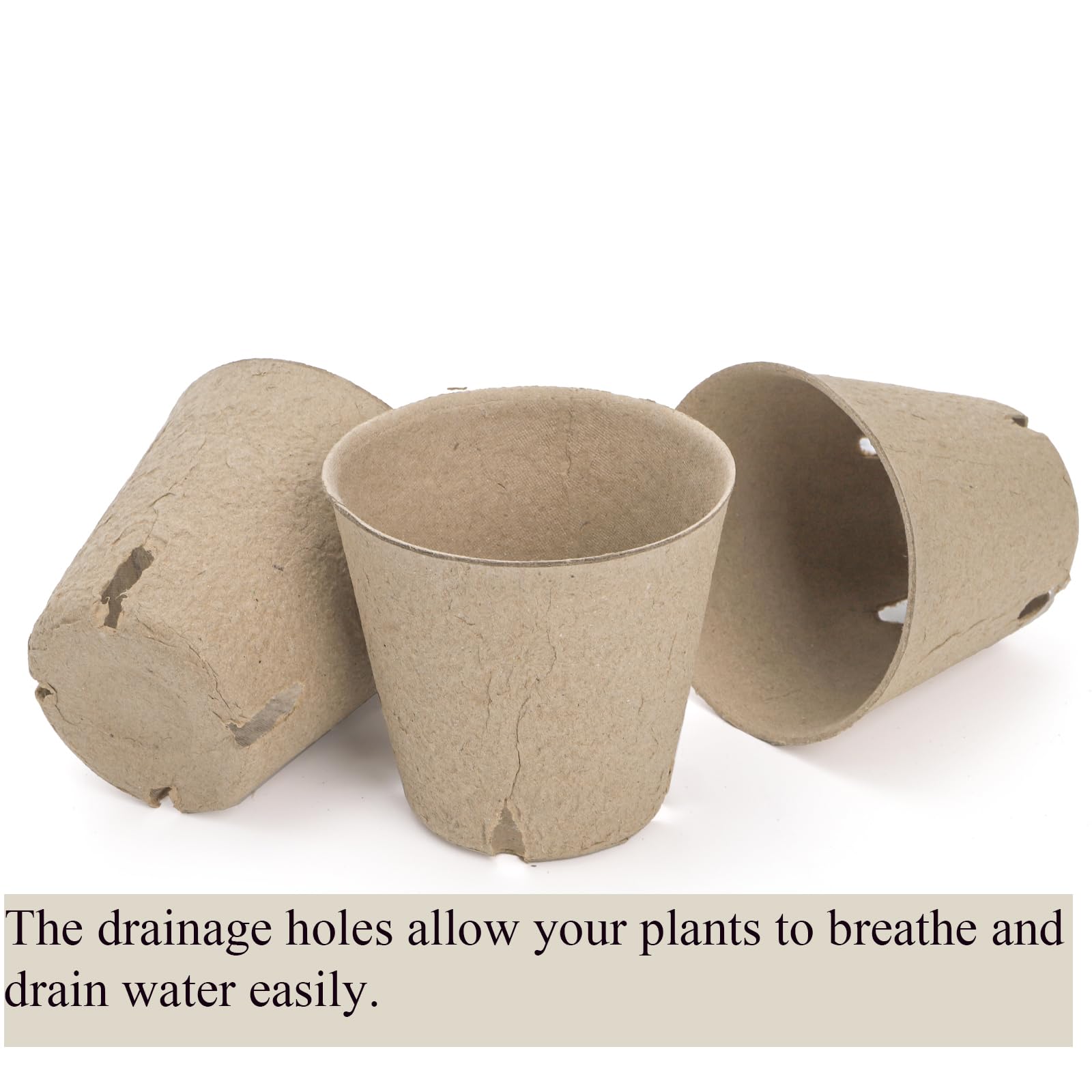 Cedilis transplant-friendly pots allow direct planting