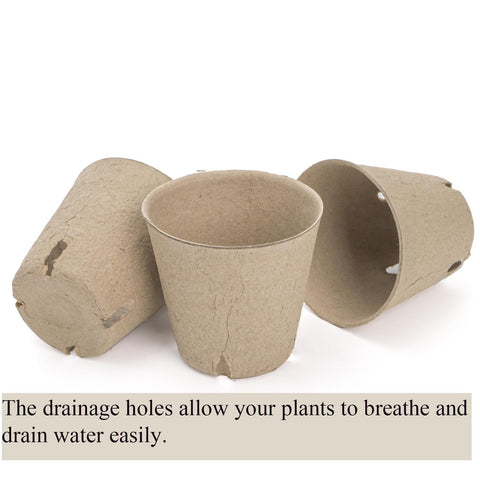 Cedilis transplant-friendly pots allow direct planting
