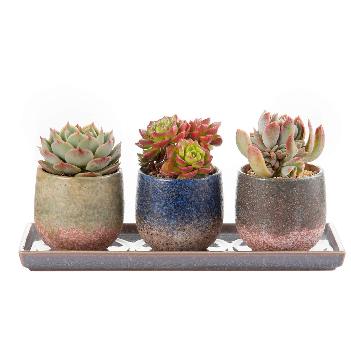 CEEFU 3-inch ceramic succulent planter front view for stylish indoor display