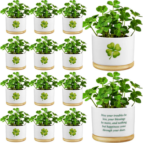 Ceenna St Patrick's mini succulent pot front view with tray, desk decor.