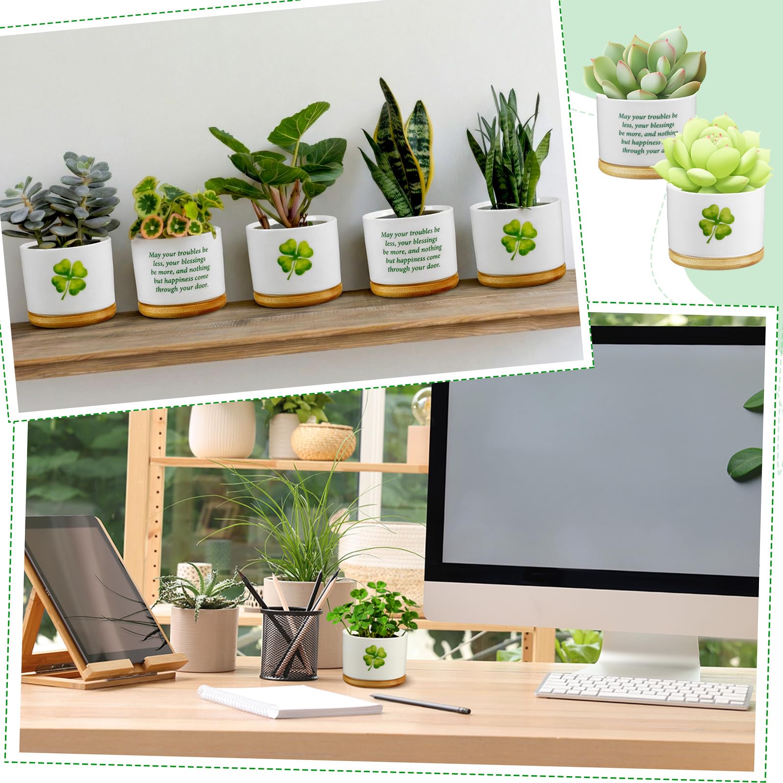 Ceenna green and white pots for windowsill display.