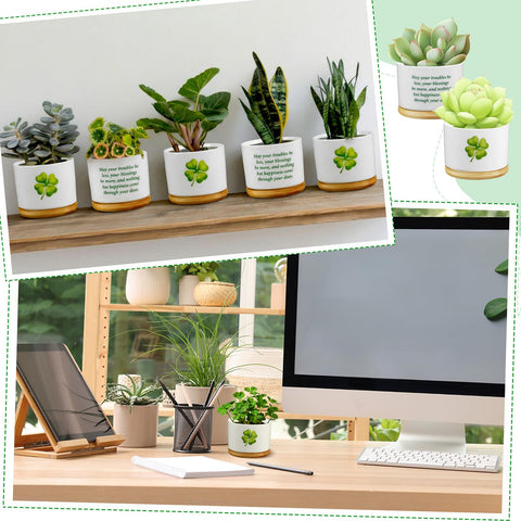 Ceenna green and white pots for windowsill display.