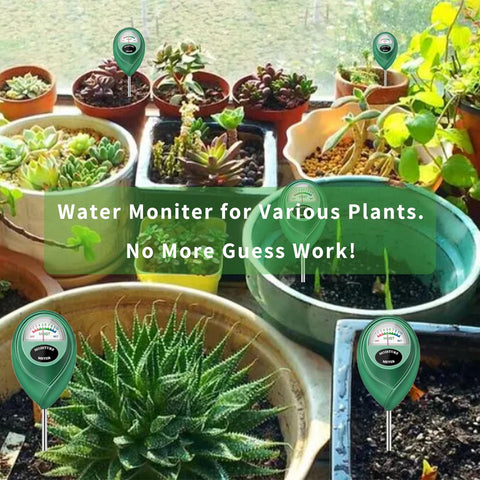 Censinda garden and pots moisture check supports healthier plants.
