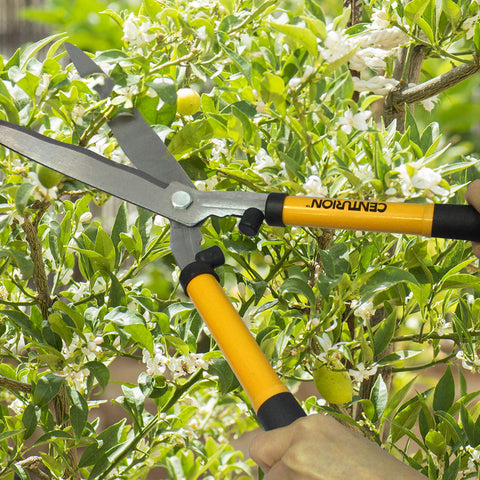 Centurion 1222 wide-cutting range enables fine stems and thicker branches.