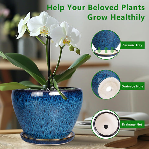 Ceramicfor 10-inch blue planter on windowsill with greenery for indoor styling.