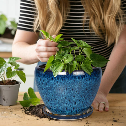 Ceramicfor 10-inch blue planter paired with a healthy plant for living spaces.