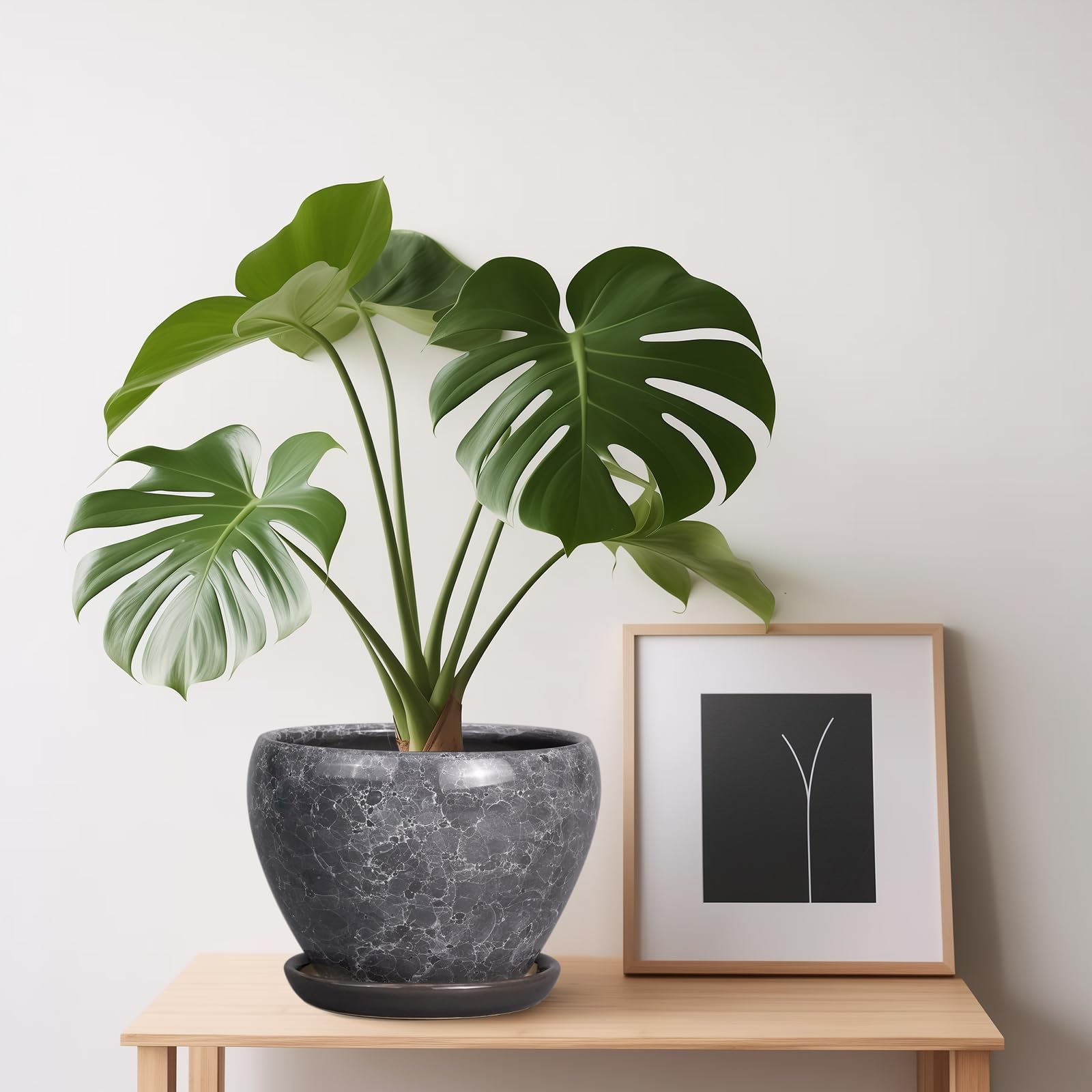 Ceramicfor indoor-outdoor planter 6-inch versatile for many plants.