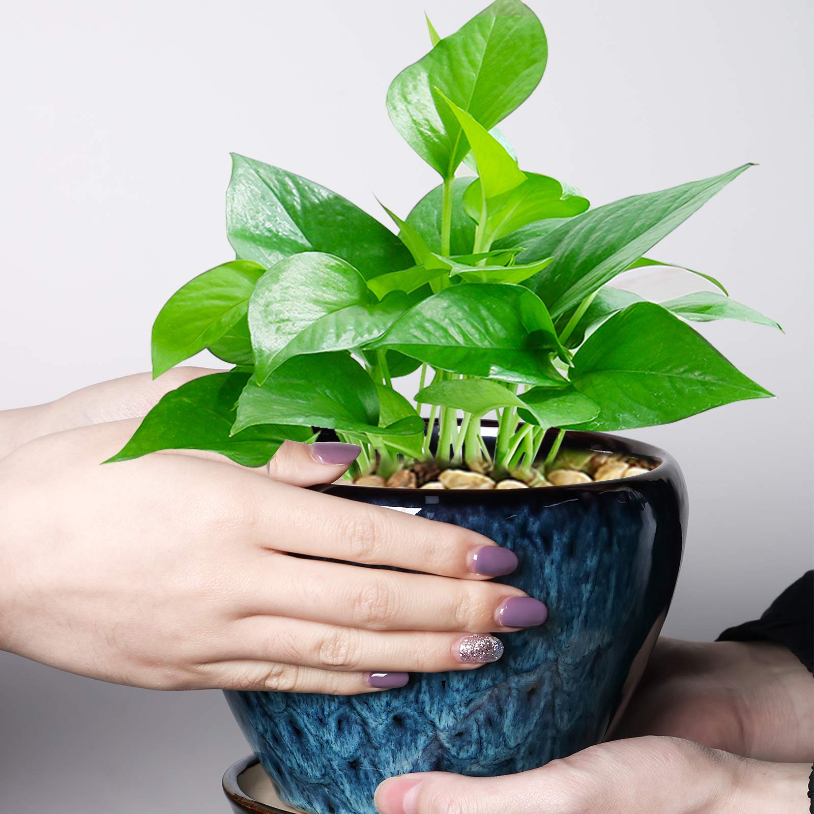 Ceramicfor planter on indoor table offers decorative versatile plant display