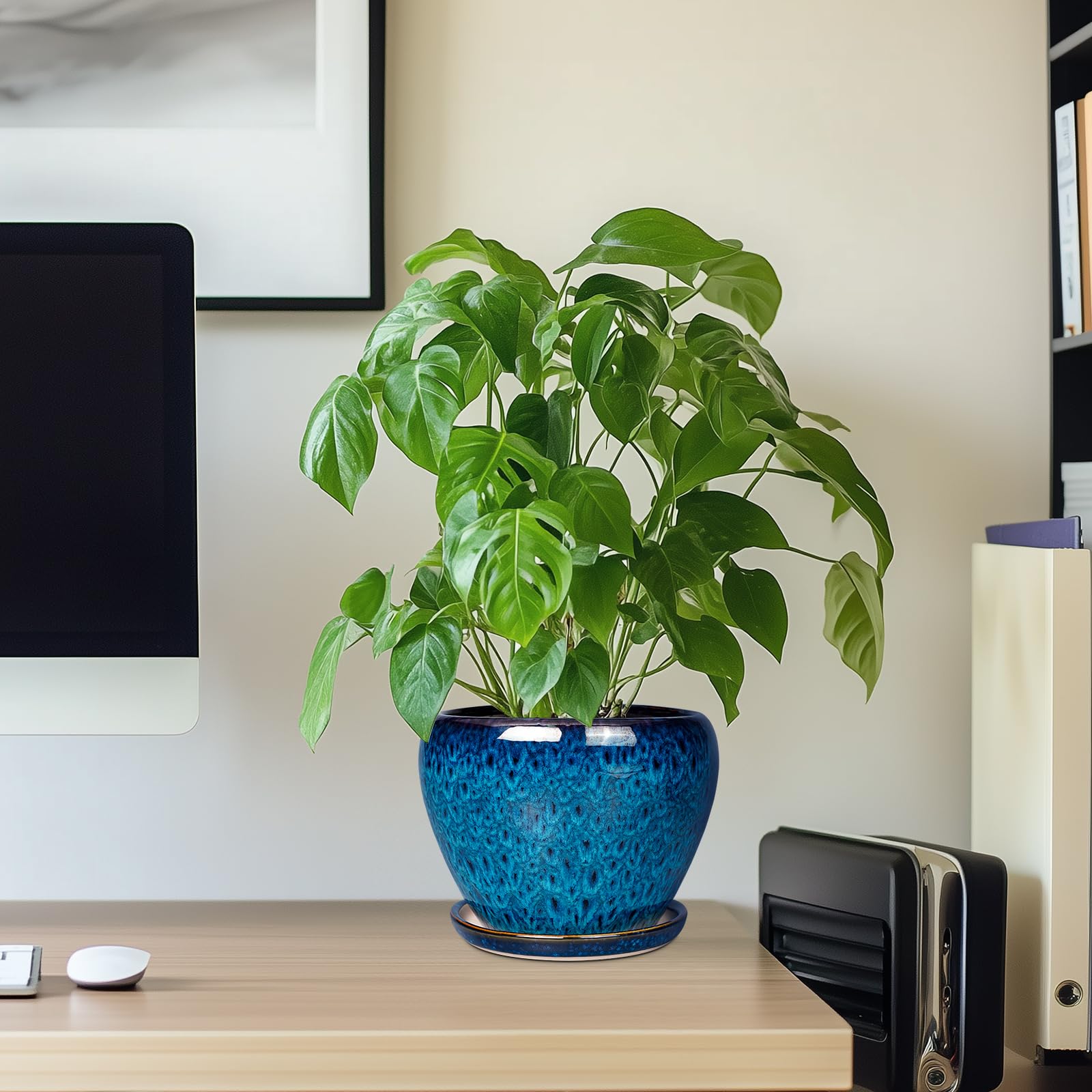 Ceramicfor planter outdoors on balcony or garden weather-friendly yet stylish