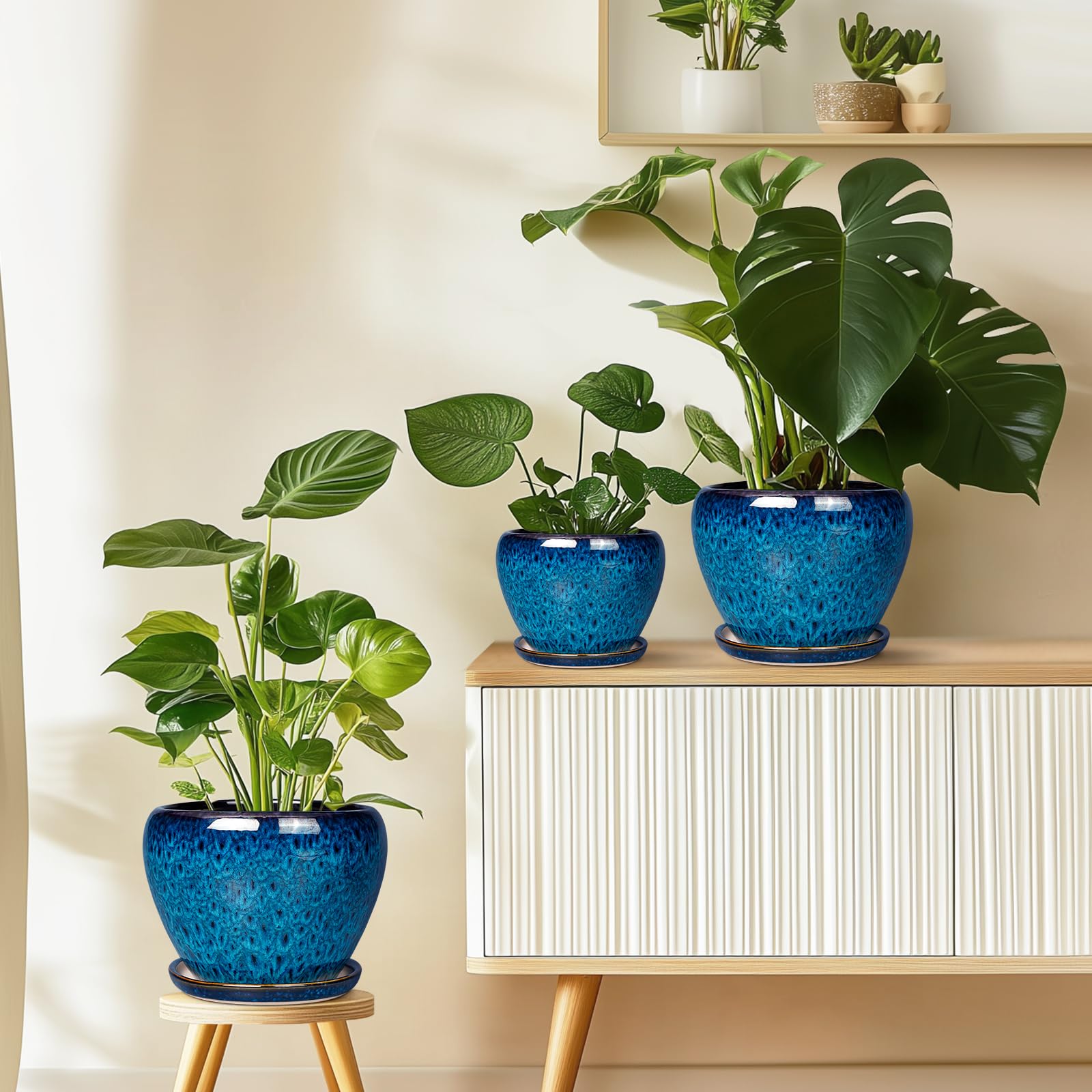 Ceramicfor planter fits snake plants and succulents blends with modern decor